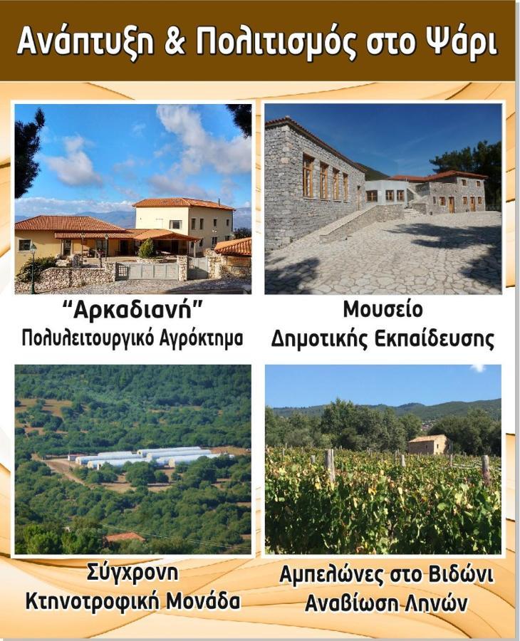 Arcadianis Villa At Psari Trikolonon Gortynia Psárion Exteriör bild